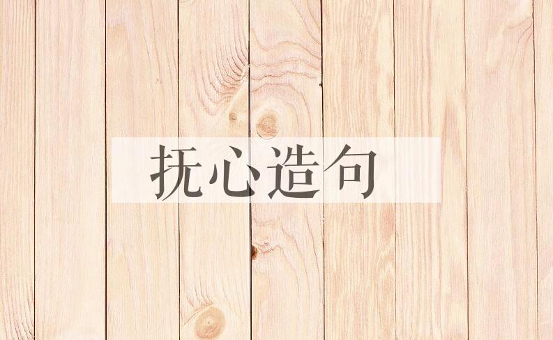 用抚心造句
