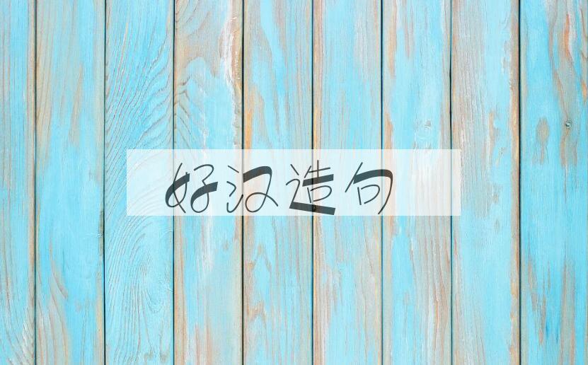 用好汉造句