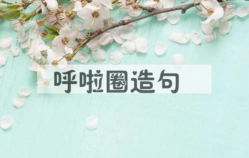 用呼啦圈造句