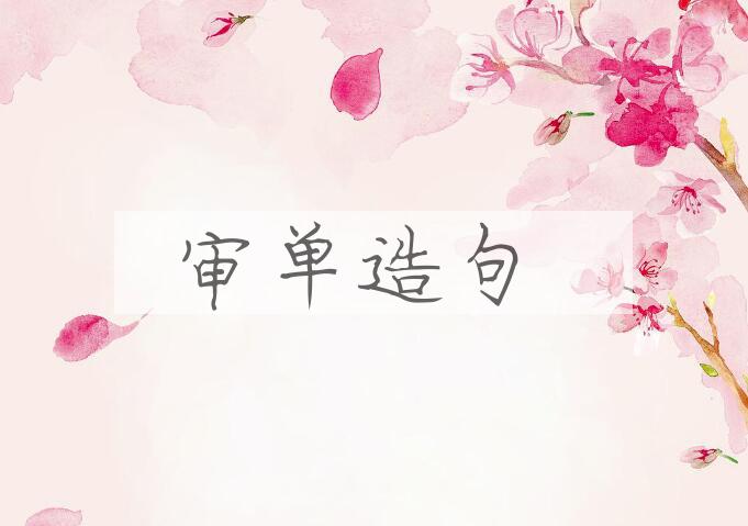 用审单造句