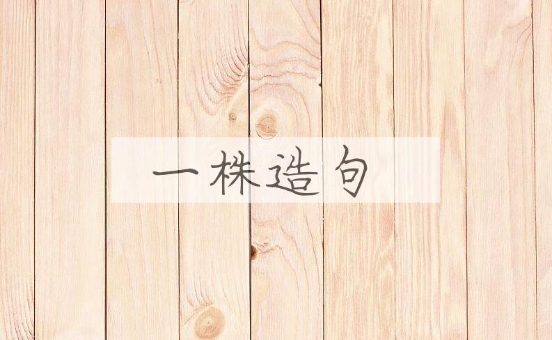用一株造句