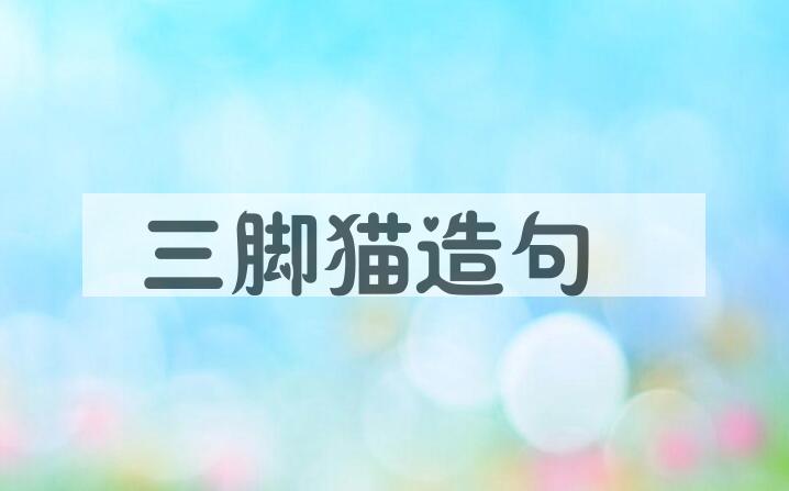 用三脚猫造句