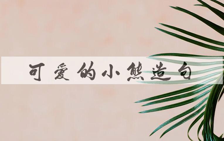 用可爱的小熊造句