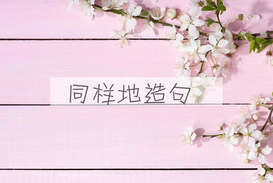 用同样地造句