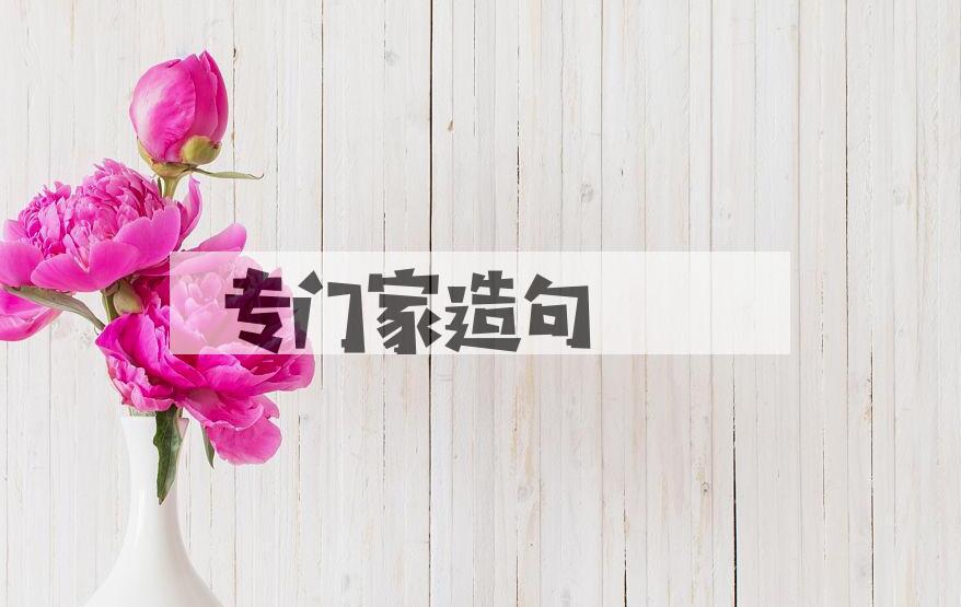用专门家造句