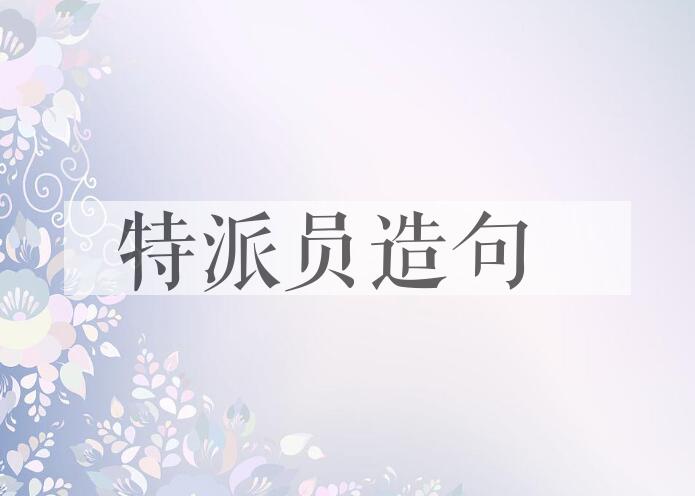 用特派员造句