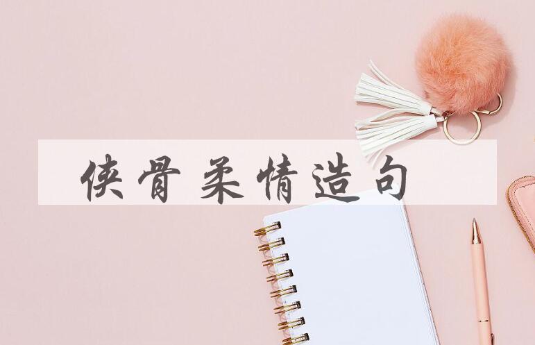 用侠骨柔情造句