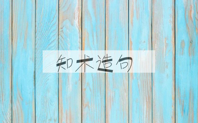 用知术造句