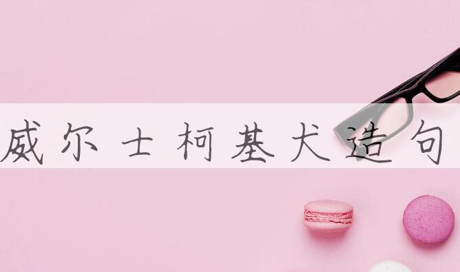 用威尔士柯基犬造句