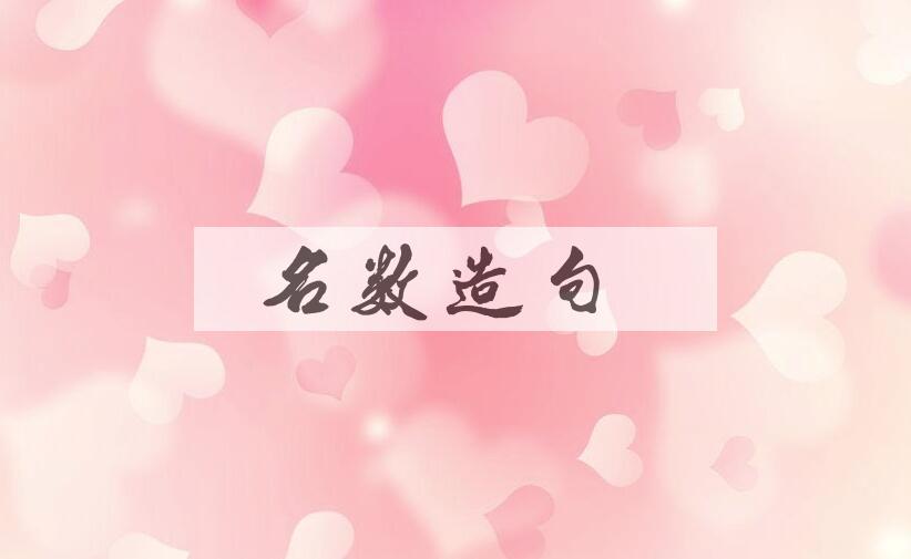 用名数造句