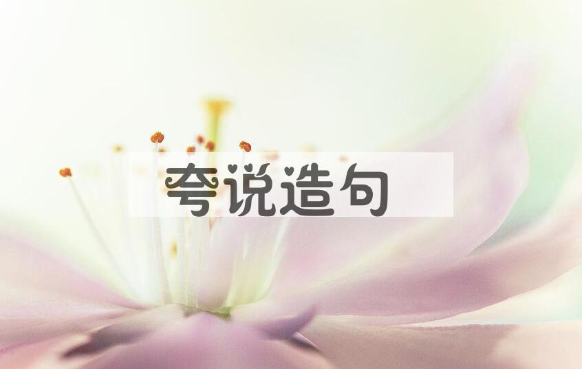 用夸说造句