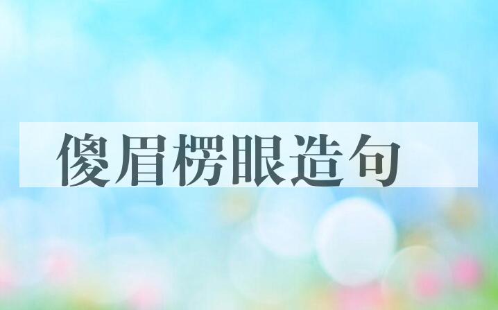用傻眉楞眼造句