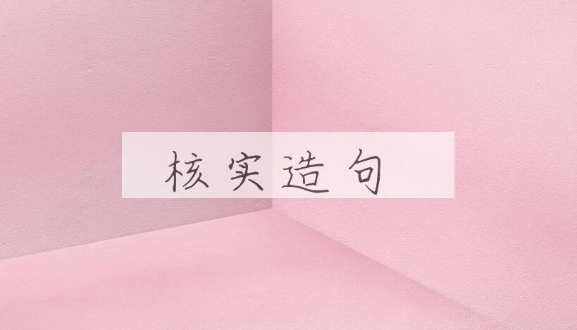 用核实造句