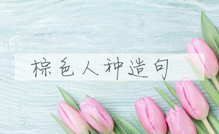 用棕色人种造句