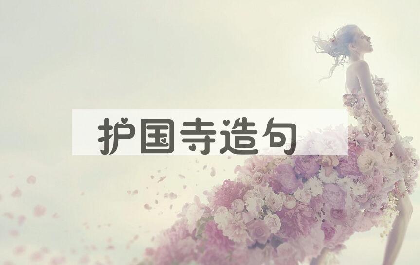 用护国寺造句