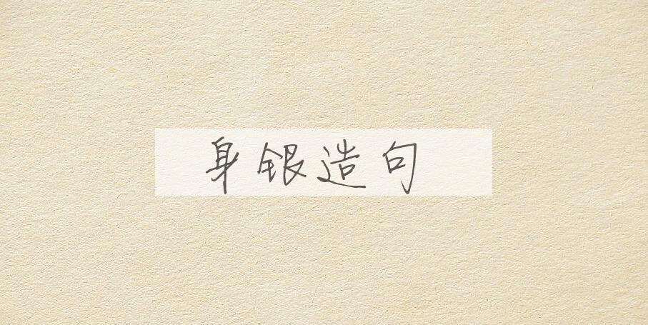 用身银造句