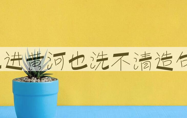 用跳进黄河也洗不清造句
