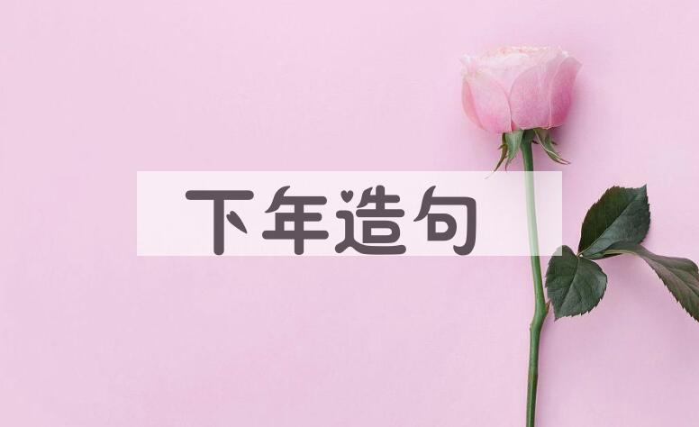 用下年造句