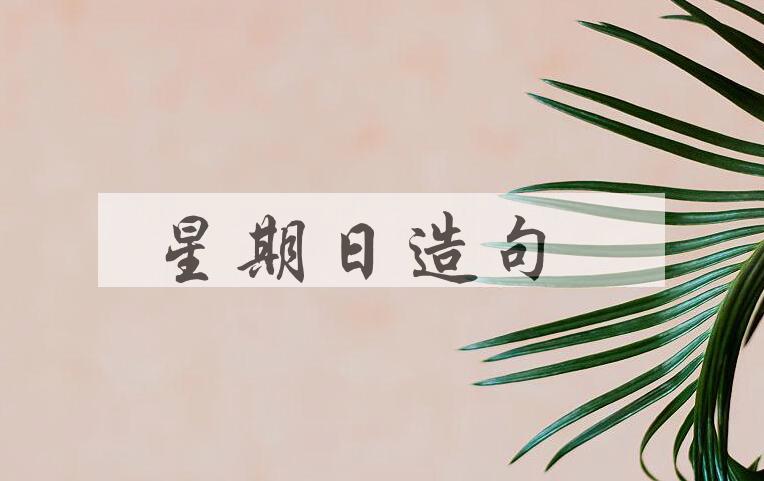 用星期日造句