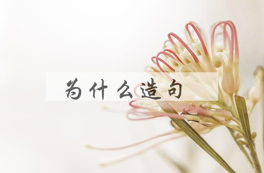 用为什么造句