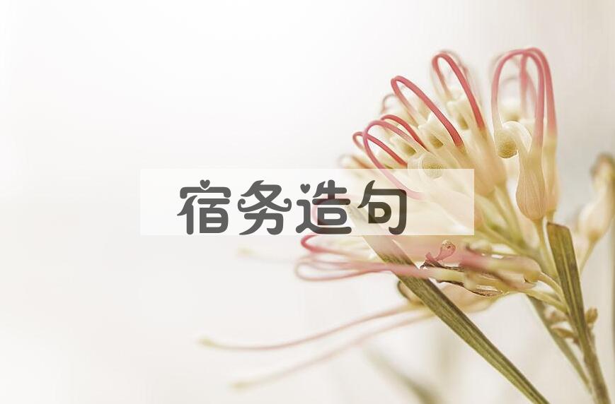 用宿务造句