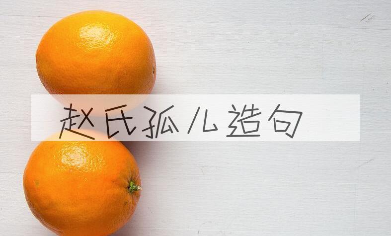 用赵氏孤儿造句