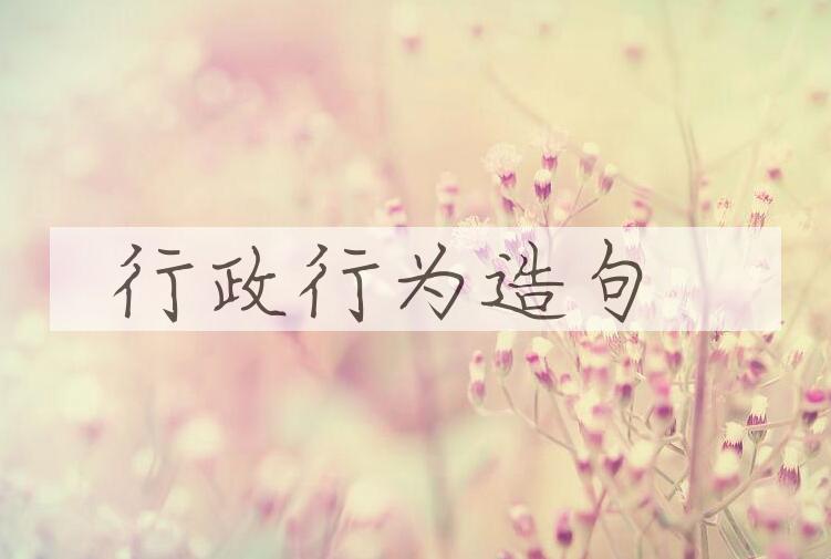 用行政行为造句
