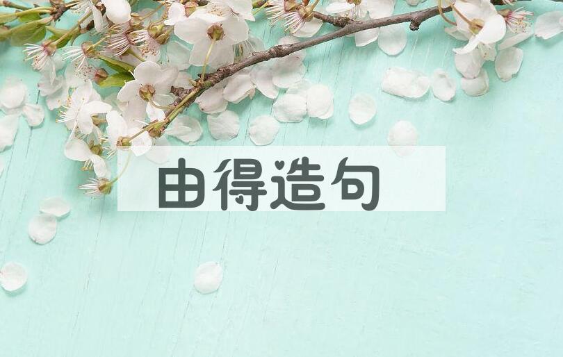 用由得造句