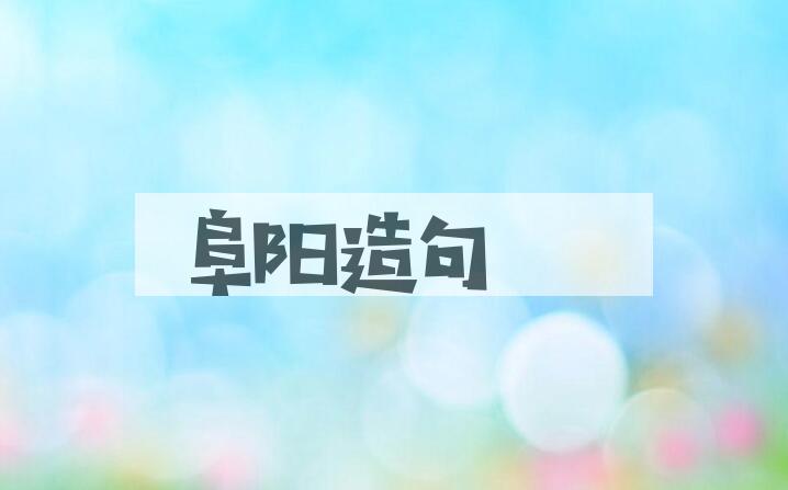 用阜阳造句