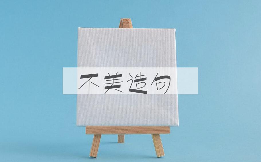 用不美造句
