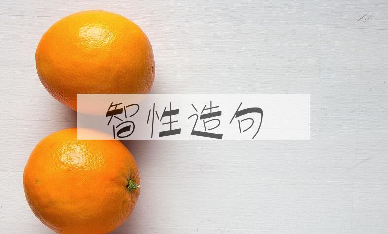 用智性造句