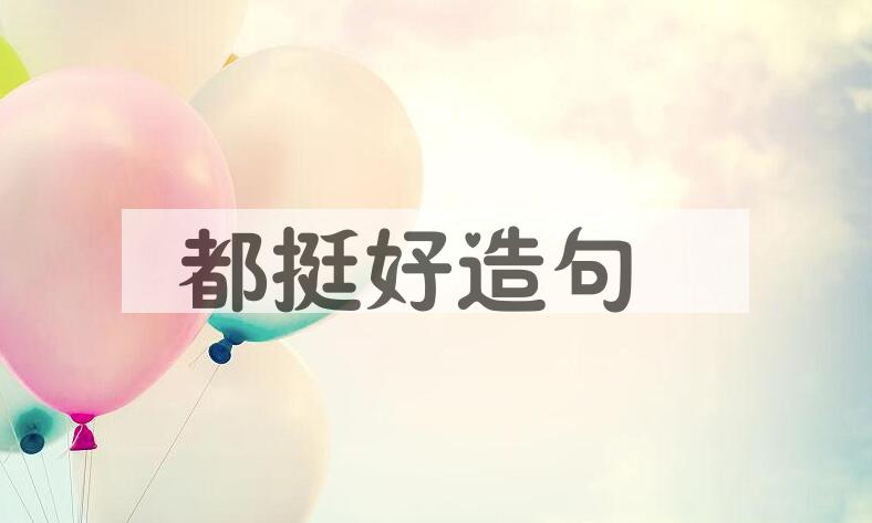 用都挺好造句