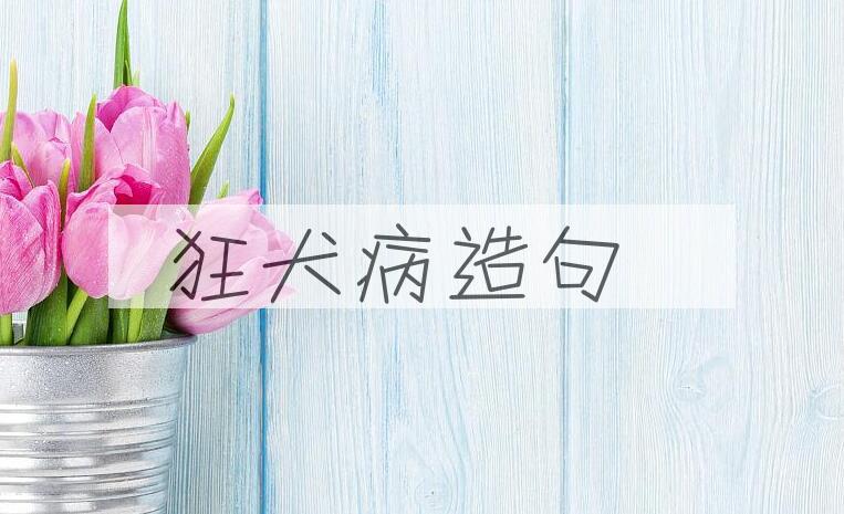 用狂犬病造句