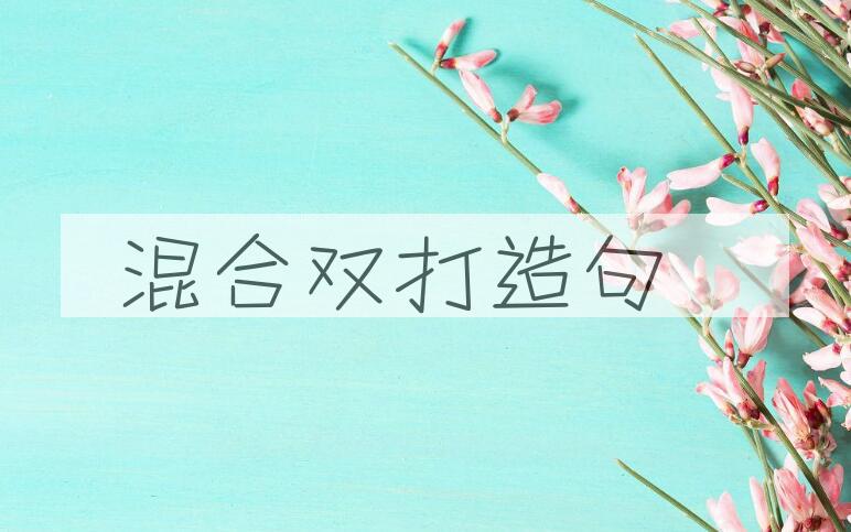 用混合双打造句