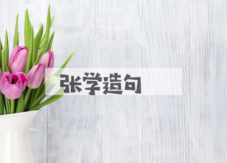 用张学造句