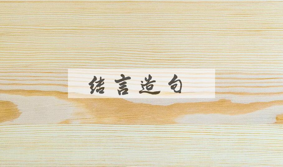 用结言造句