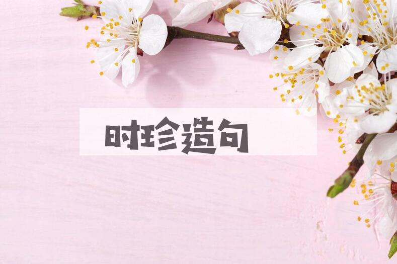 用时珍造句