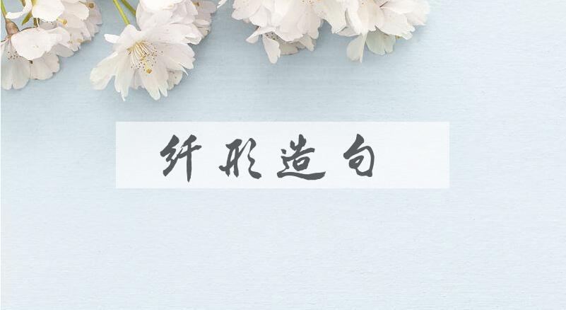 用纤形造句
