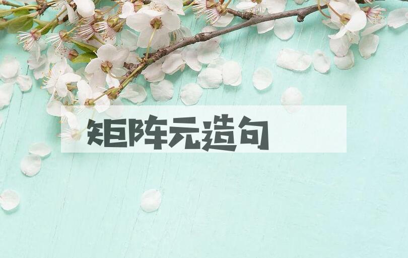 用矩阵元造句