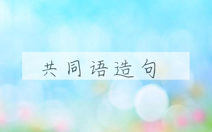 用共同语造句