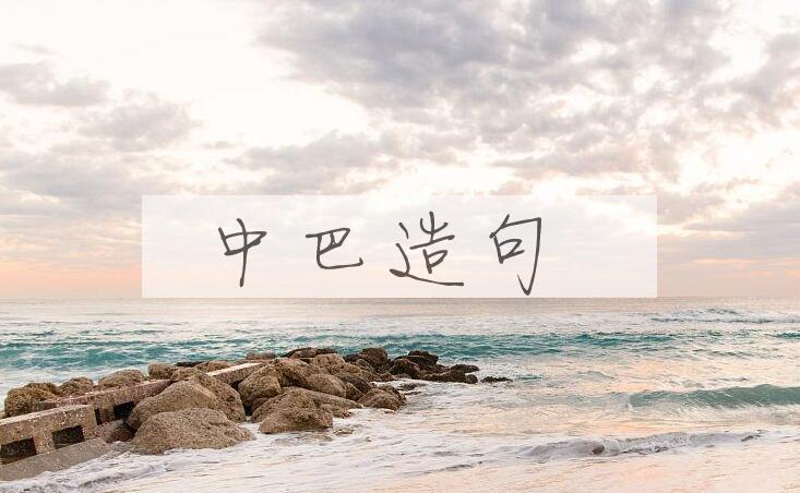 用中巴造句