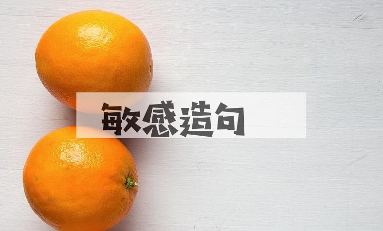 用敏感造句