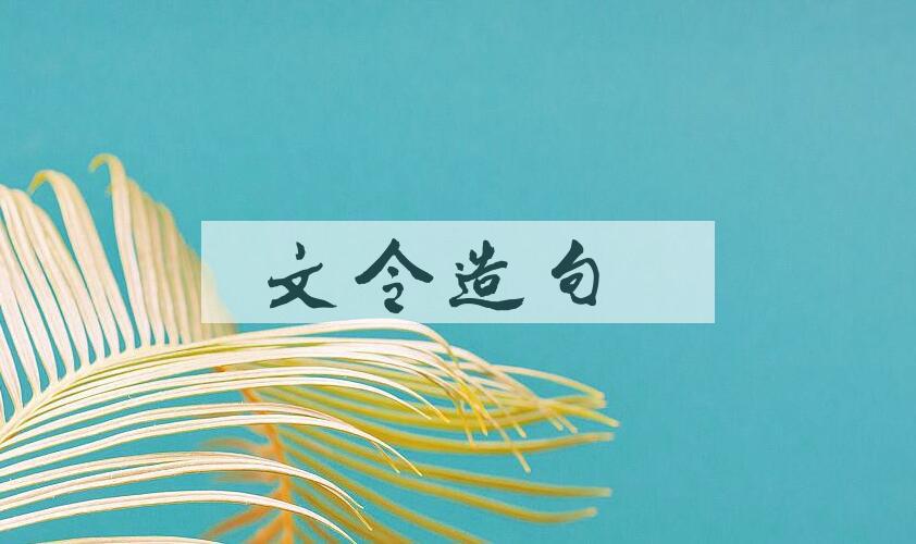 用文令造句