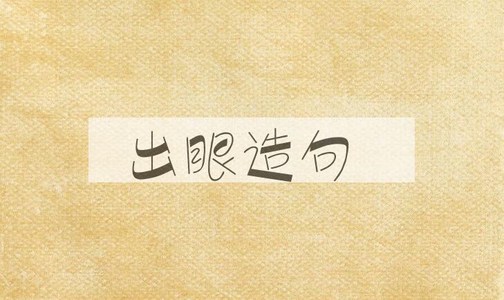 用出眼造句