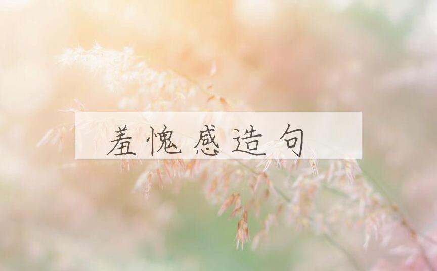 用羞愧感造句