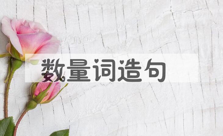 用数量词造句