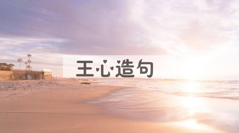 用王心造句