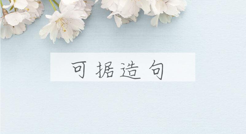 用可据造句
