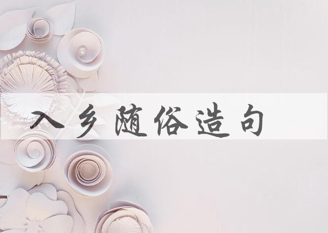 用入乡随俗造句