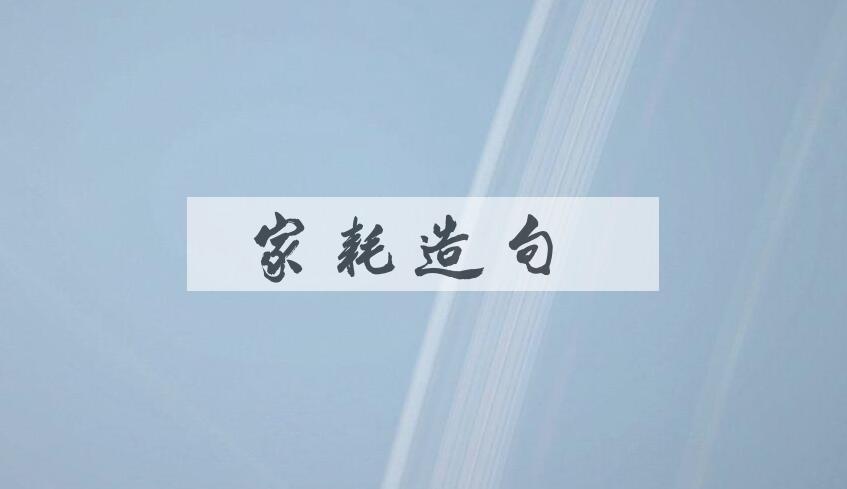 用家耗造句